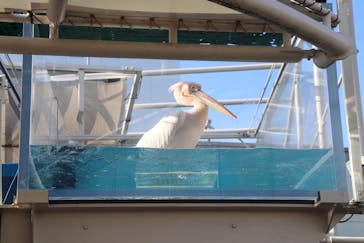 サンシャイン水族館に投稿された画像（2021/11/3）
