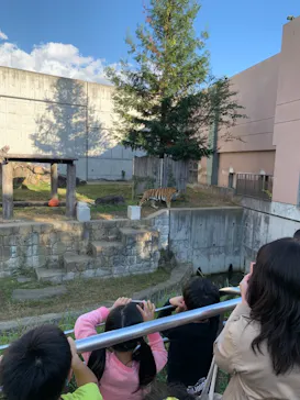 天王寺動物園に投稿された画像（2021/11/3）