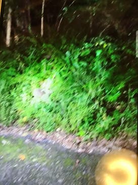 マングローブ茶屋に投稿された画像（2021/11/3）