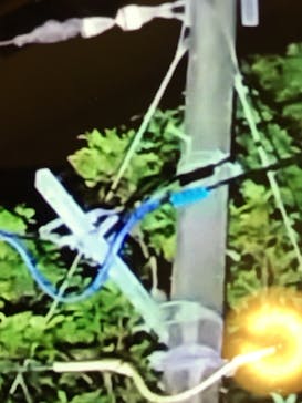 マングローブ茶屋に投稿された画像（2021/11/3）