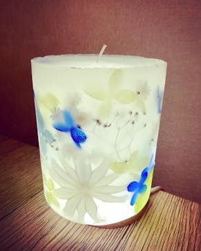 ずこうしつ〜sugamo〜に投稿された画像（2021/11/3）