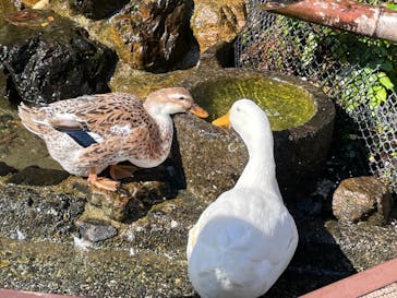 びわ湖バレイに投稿された画像（2021/11/3）