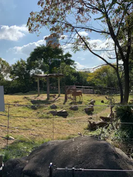 天王寺動物園に投稿された画像（2021/11/3）