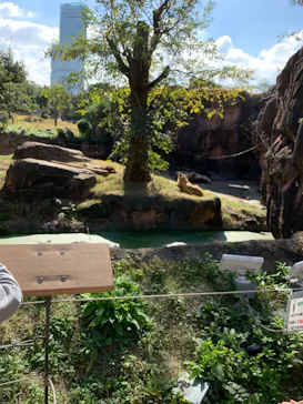 天王寺動物園に投稿された画像（2021/11/3）