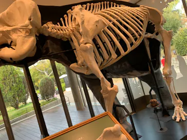 天王寺動物園に投稿された画像（2021/11/3）