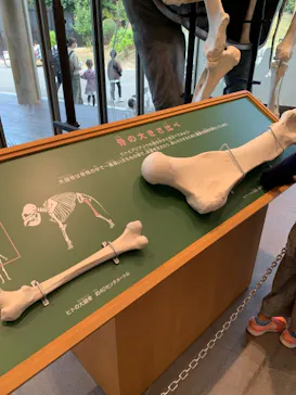 天王寺動物園に投稿された画像（2021/11/3）