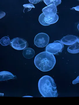 すみだ水族館に投稿された画像（2021/11/3）