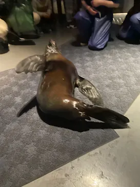 すみだ水族館に投稿された画像（2021/11/3）