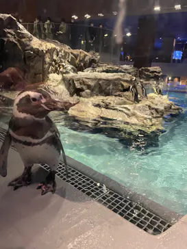 すみだ水族館に投稿された画像（2021/11/3）