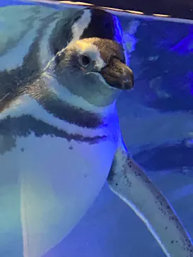 すみだ水族館に投稿された画像（2021/11/3）