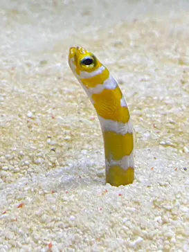 すみだ水族館に投稿された画像（2021/11/3）