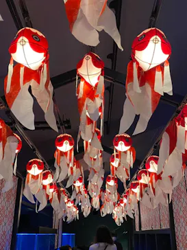 すみだ水族館に投稿された画像（2021/11/3）