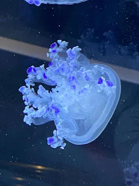 すみだ水族館に投稿された画像（2021/11/3）