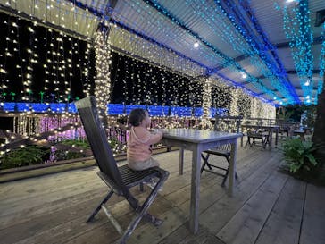 美らヤシパークオキナワ・東南植物楽園に投稿された画像（2021/11/3）