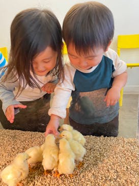 Moff アニマル カフェ イーアス 高尾店に投稿された画像（2021/11/3）