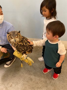 Moff アニマル カフェ イーアス 高尾店に投稿された画像（2021/11/3）