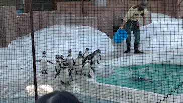天王寺動物園に投稿された画像（2021/11/3）