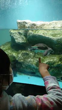 天王寺動物園に投稿された画像（2021/11/3）