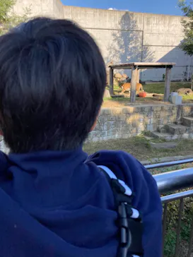 天王寺動物園に投稿された画像（2021/11/3）