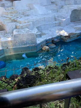 天王寺動物園に投稿された画像（2021/11/3）