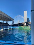 名古屋港水族館に投稿された画像（2021/11/4）