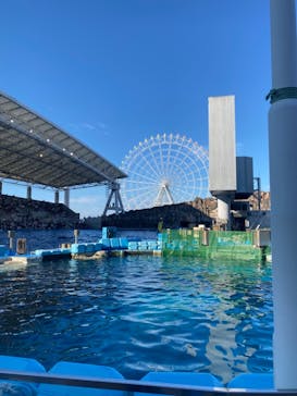 名古屋港水族館に投稿された画像（2021/11/3）