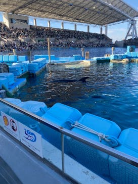 名古屋港水族館に投稿された画像（2021/11/3）