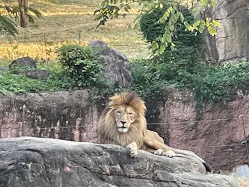 天王寺動物園に投稿された画像（2021/11/3）