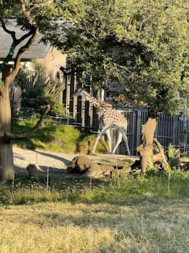 天王寺動物園に投稿された画像（2021/11/3）