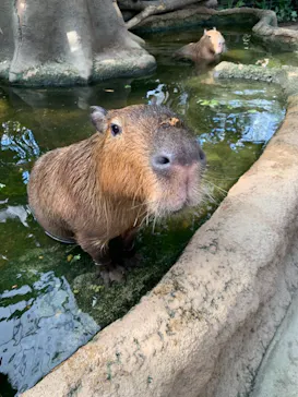 神戸どうぶつ王国に投稿された画像（2021/11/3）