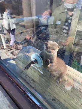 横浜・八景島シーパラダイスに投稿された画像（2021/11/3）