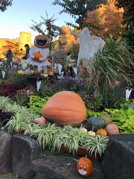 ひらかたパークに投稿された画像（2021/11/3）