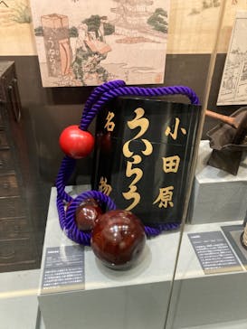 小田原城に投稿された画像（2021/11/3）