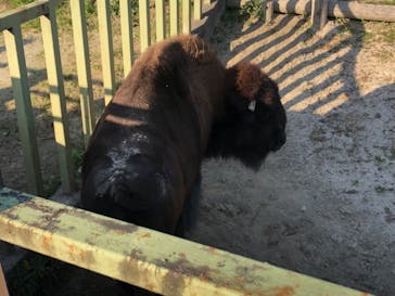東武動物公園に投稿された画像（2021/11/3）