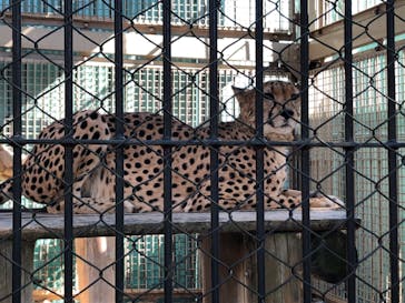 東武動物公園に投稿された画像（2021/11/3）