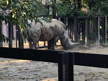 東武動物公園に投稿された画像（2021/11/3）