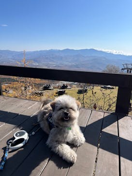 サンメドウズ清里に投稿された画像（2021/11/3）