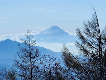 サンメドウズ清里に投稿された画像（2021/11/3）