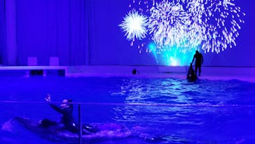 アクアワールド茨城県大洗水族館に投稿された画像（2021/11/3）