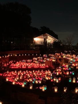 江の島シーキャンドルに投稿された画像（2021/11/3）