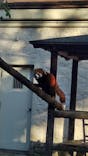 天王寺動物園に投稿された画像（2021/11/4）