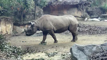 天王寺動物園に投稿された画像（2021/11/4）