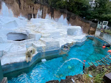 天王寺動物園に投稿された画像（2021/11/4）