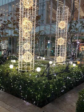 ハルカス300(展望台)に投稿された画像（2021/11/4）