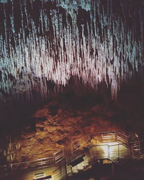 おきなわワールドに投稿された画像（2021/11/4）