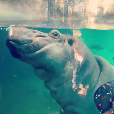 天王寺動物園に投稿された画像（2021/11/4）