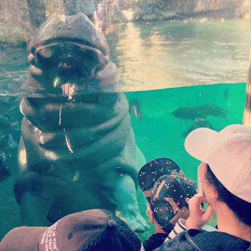 天王寺動物園に投稿された画像（2021/11/4）