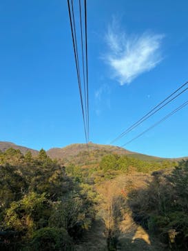 彫刻の森美術館に投稿された画像（2021/11/4）