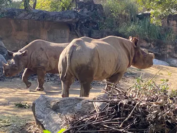 天王寺動物園に投稿された画像（2021/11/4）