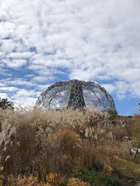 神戸六甲ミーツ・アート2025 beyondに投稿された画像（2021/11/4）